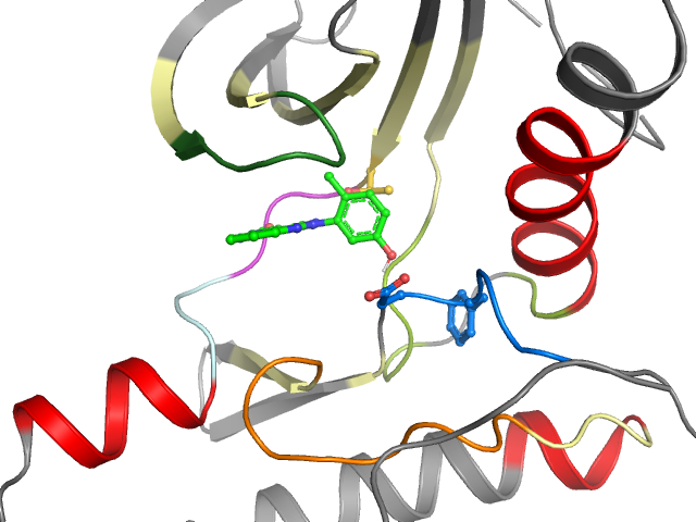 The orthosteric binding pocket