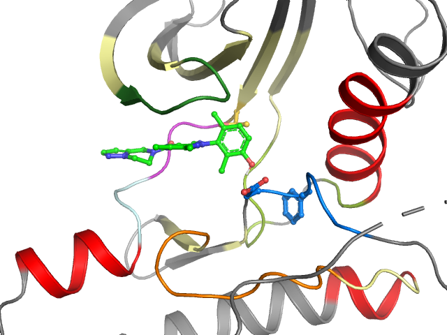 The orthosteric binding pocket
