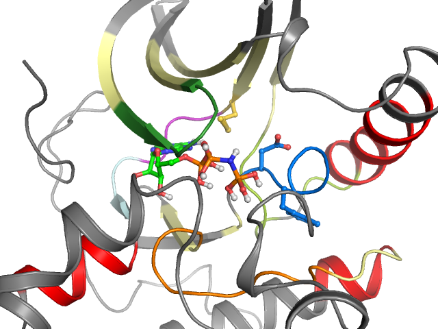 The orthosteric binding pocket