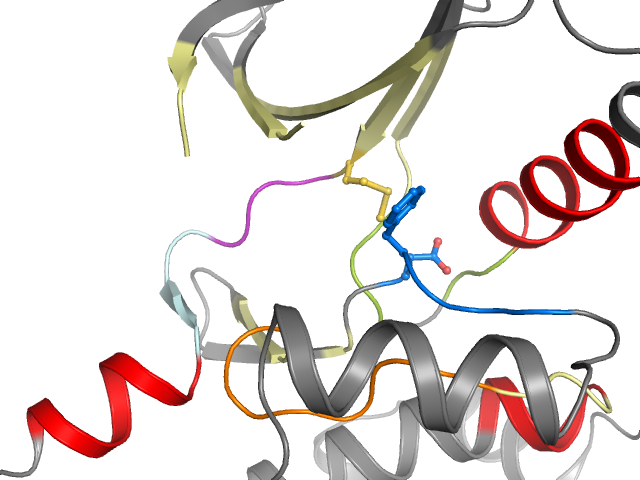 The orthosteric binding pocket