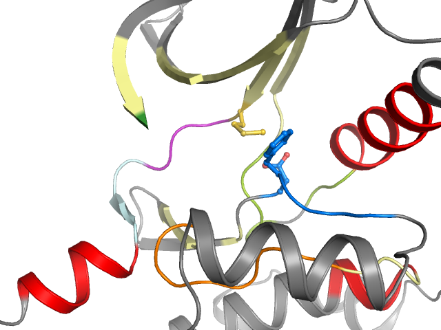 The orthosteric binding pocket