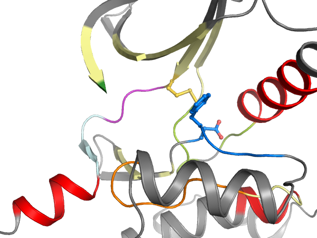 The orthosteric binding pocket