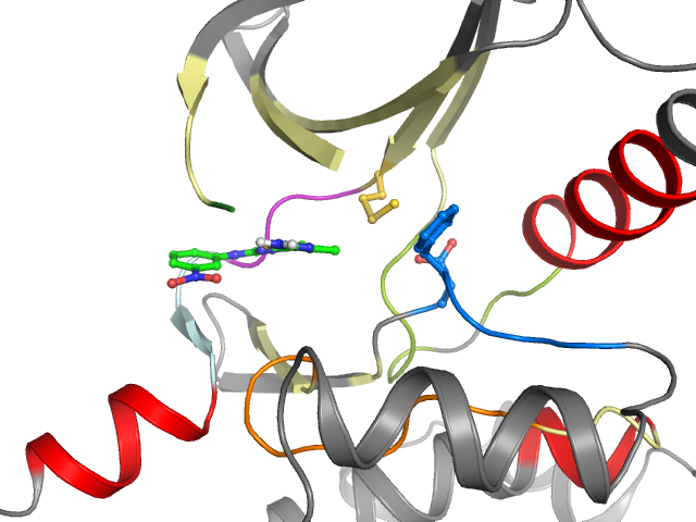 The orthosteric binding pocket
