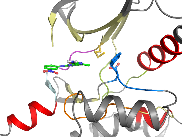 The orthosteric binding pocket