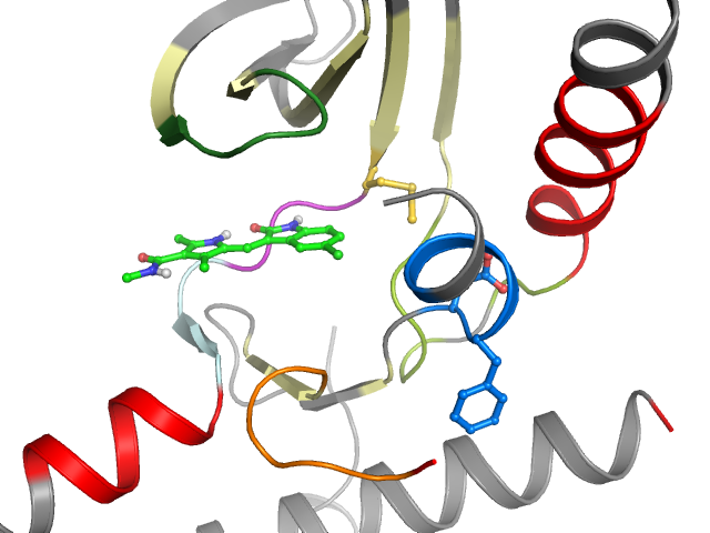 The orthosteric binding pocket