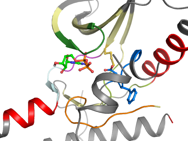 The orthosteric binding pocket