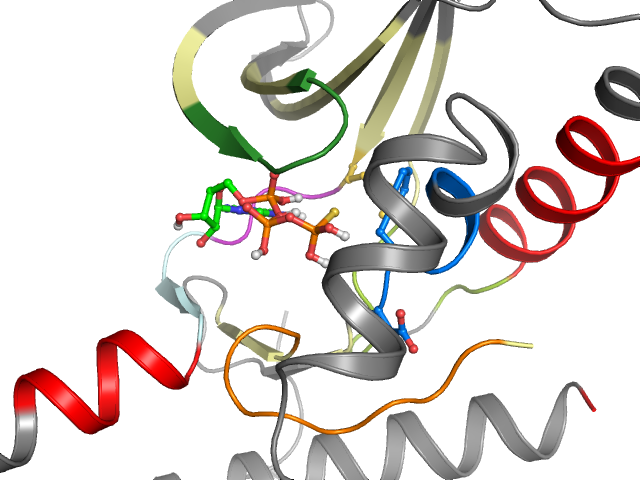 The orthosteric binding pocket