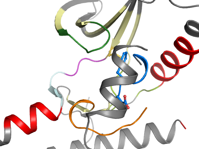 The orthosteric binding pocket