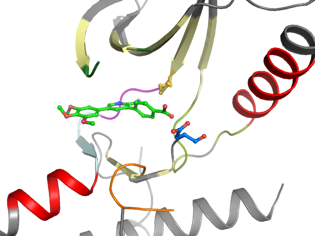 The orthosteric binding pocket