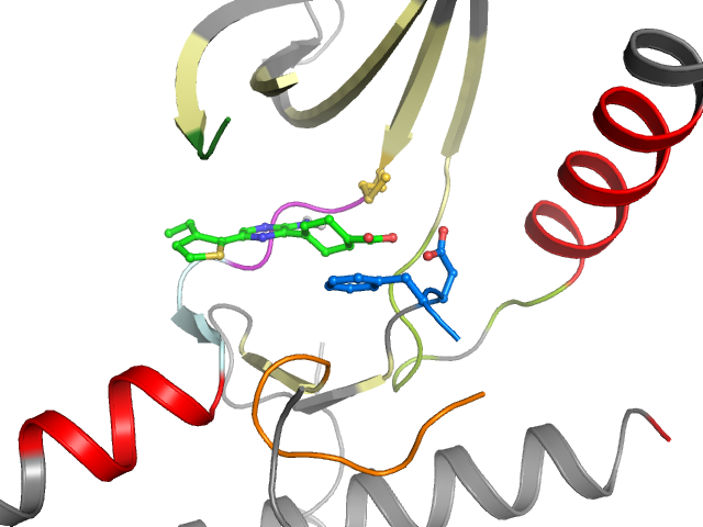 The orthosteric binding pocket