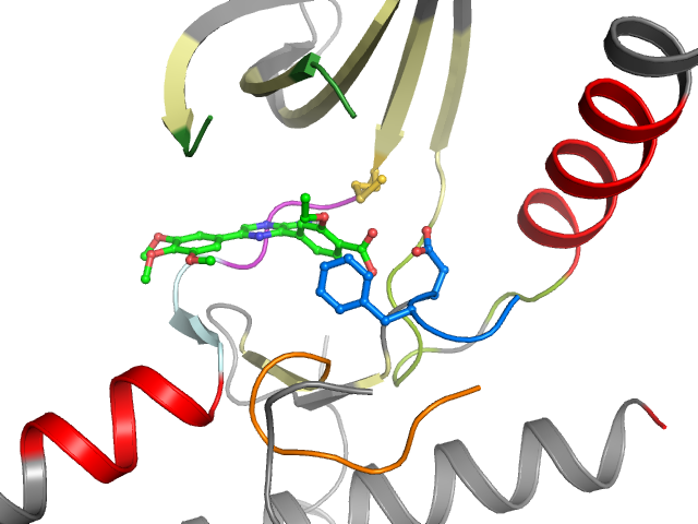 The orthosteric binding pocket