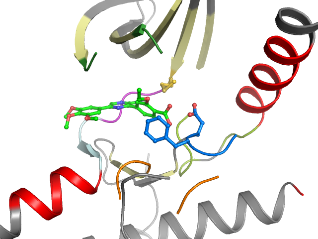The orthosteric binding pocket