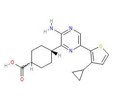 2D structure of the orthosteric ligand
