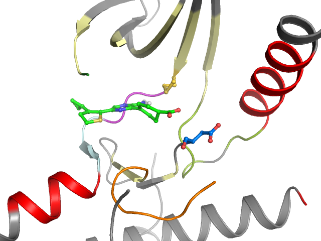 The orthosteric binding pocket