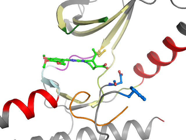 The orthosteric binding pocket