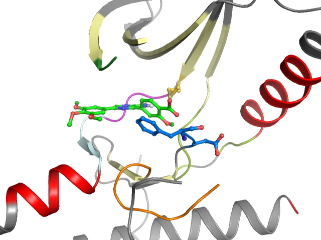 The orthosteric binding pocket