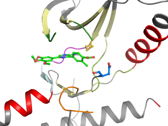 The orthosteric binding pocket