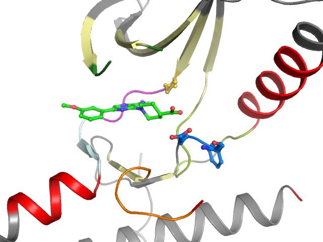 The orthosteric binding pocket