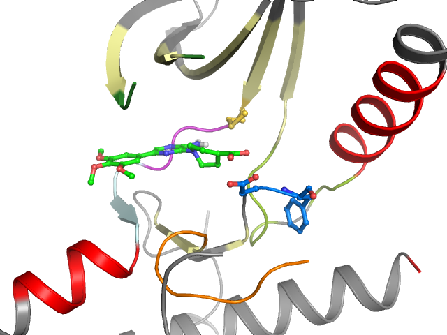 The orthosteric binding pocket