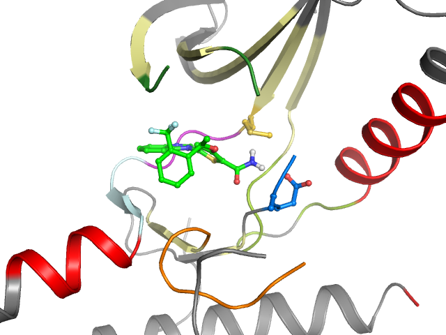 The orthosteric binding pocket