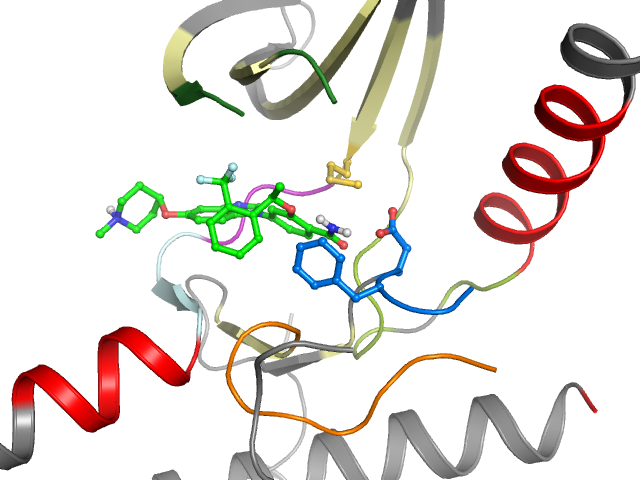The orthosteric binding pocket