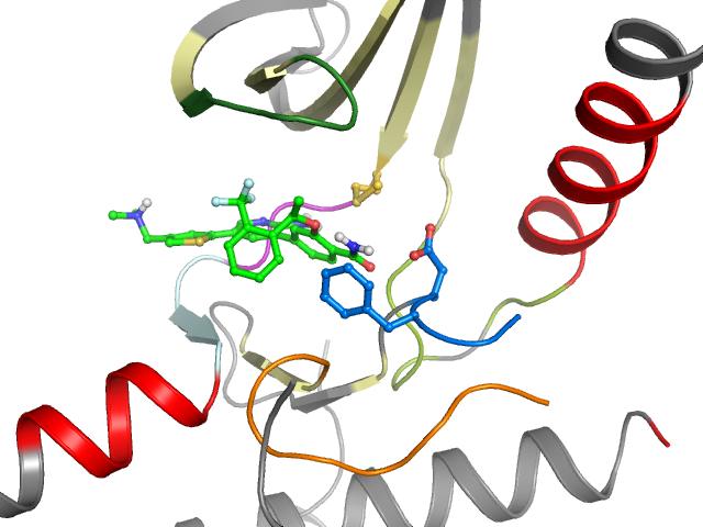The orthosteric binding pocket