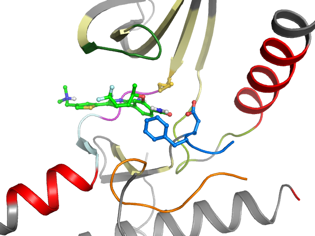 The orthosteric binding pocket