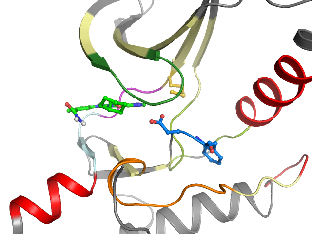 The orthosteric binding pocket