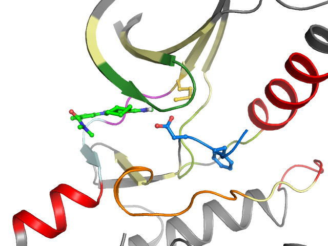 The orthosteric binding pocket