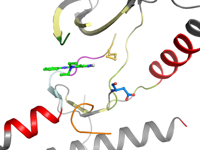 The orthosteric binding pocket