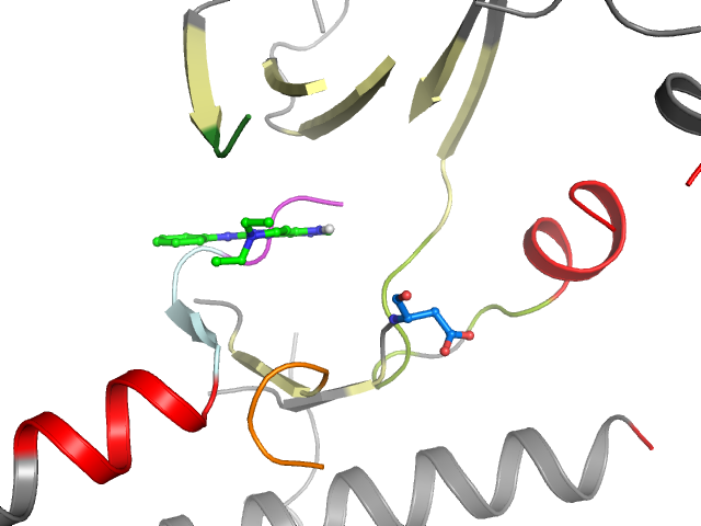 The orthosteric binding pocket