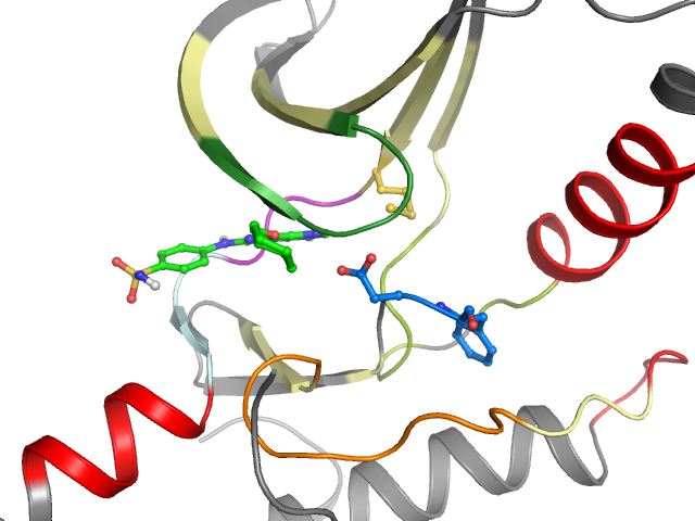 The orthosteric binding pocket