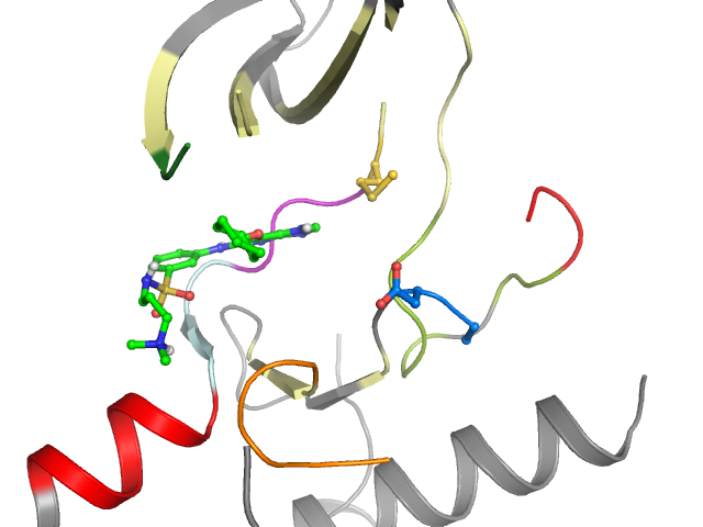 The orthosteric binding pocket