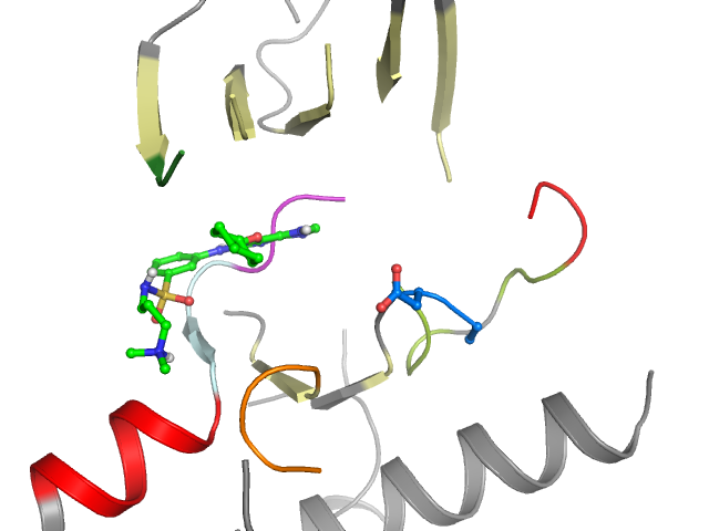 The orthosteric binding pocket