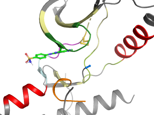 The orthosteric binding pocket