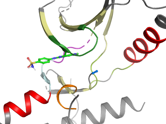 The orthosteric binding pocket