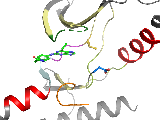 The orthosteric binding pocket