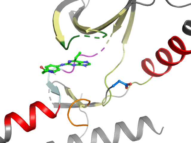 The orthosteric binding pocket