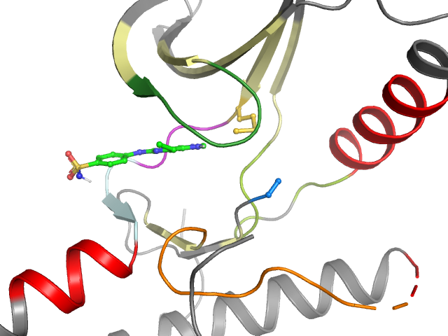 The orthosteric binding pocket