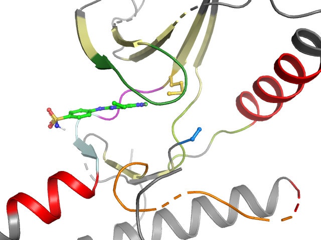 The orthosteric binding pocket
