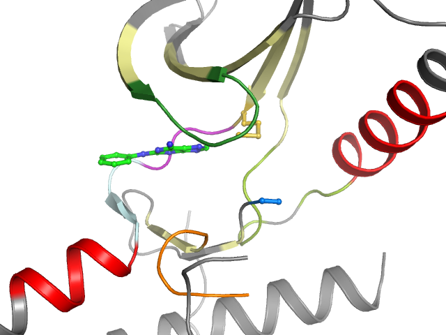 The orthosteric binding pocket