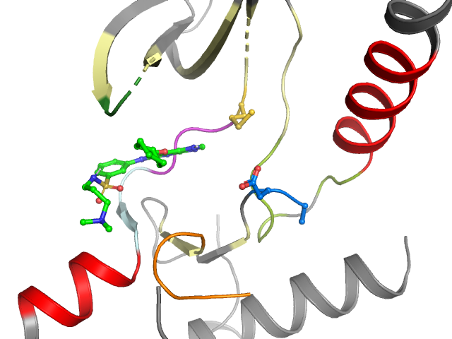 The orthosteric binding pocket