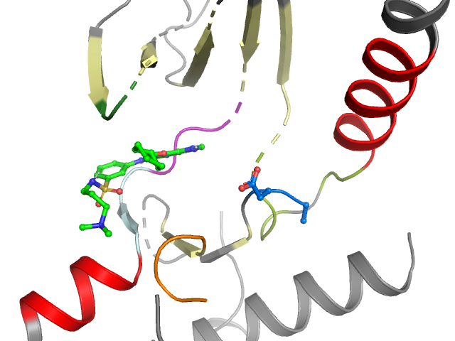 The orthosteric binding pocket