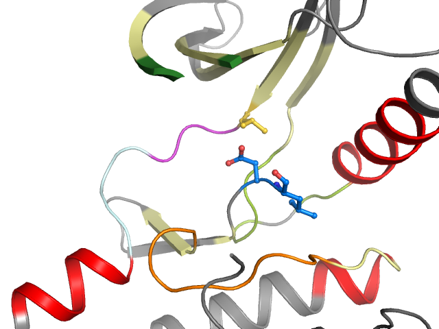 The orthosteric binding pocket
