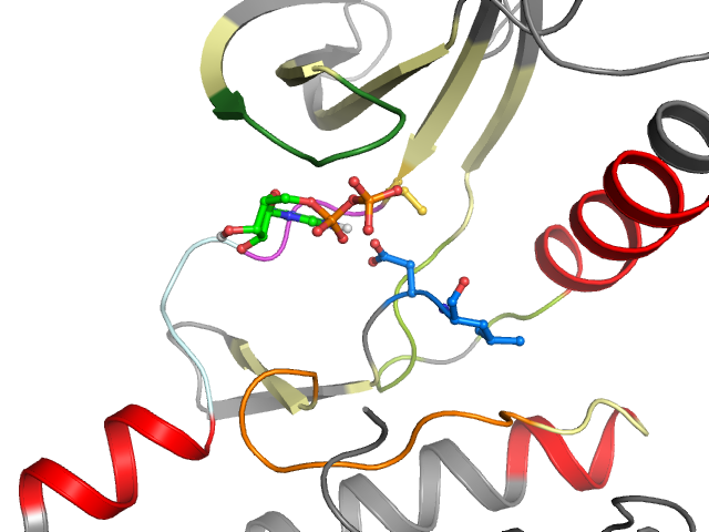 The orthosteric binding pocket