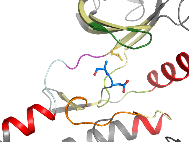 The orthosteric binding pocket