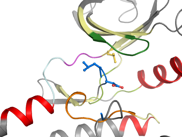 The orthosteric binding pocket