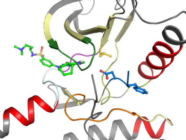 The orthosteric binding pocket