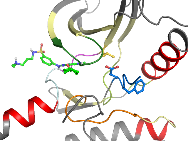 The orthosteric binding pocket
