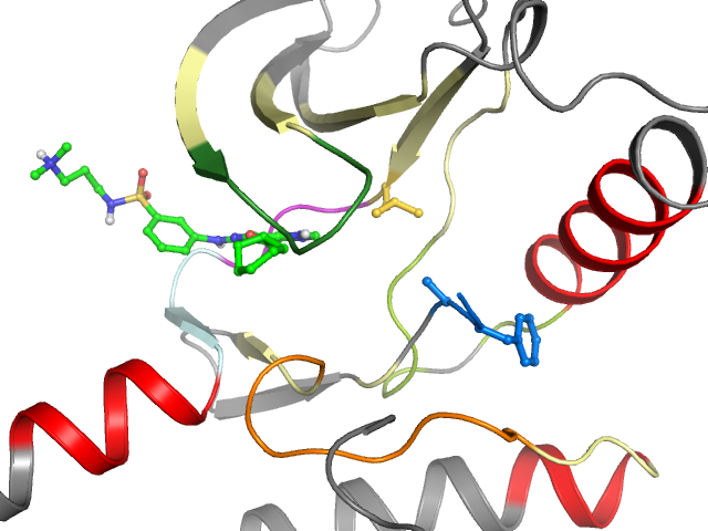 The orthosteric binding pocket